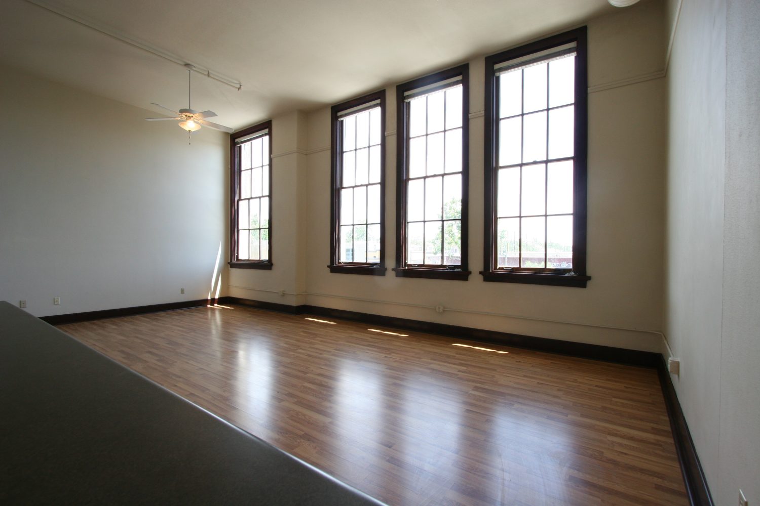 301 Central Ave NE, Loft 206